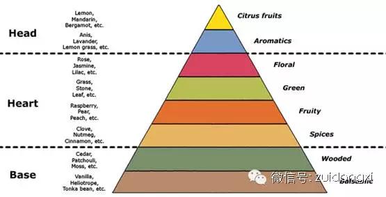 闭于香水你OB视讯不得不知的3个常识(图5)